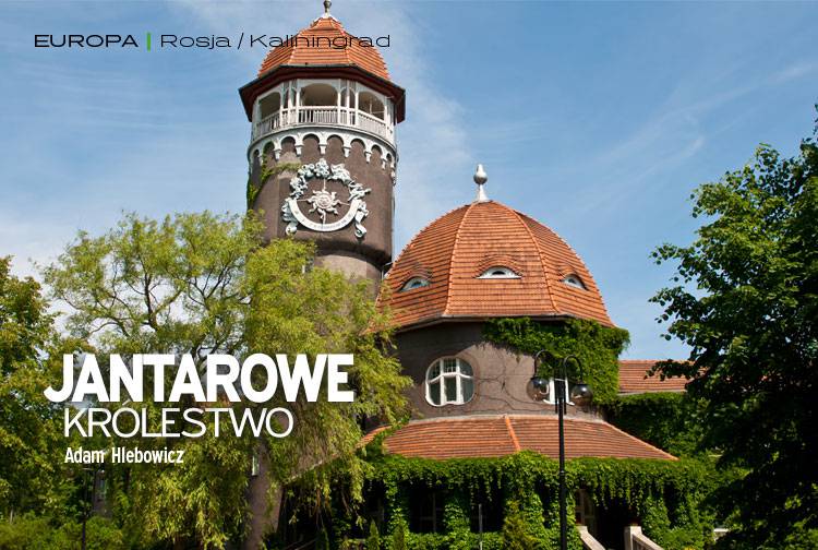 Losowy darmowy artykuł